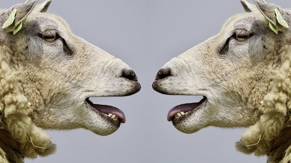 Fig 18 10 2018 04 19 29