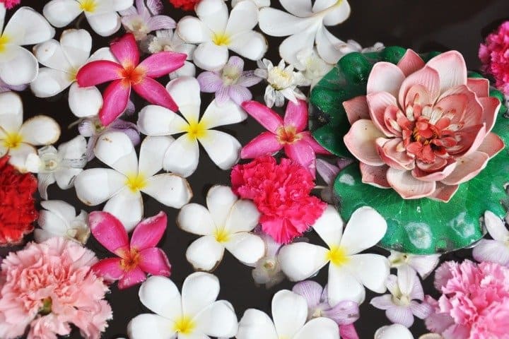 Fig 24 10 2018 22 42 38