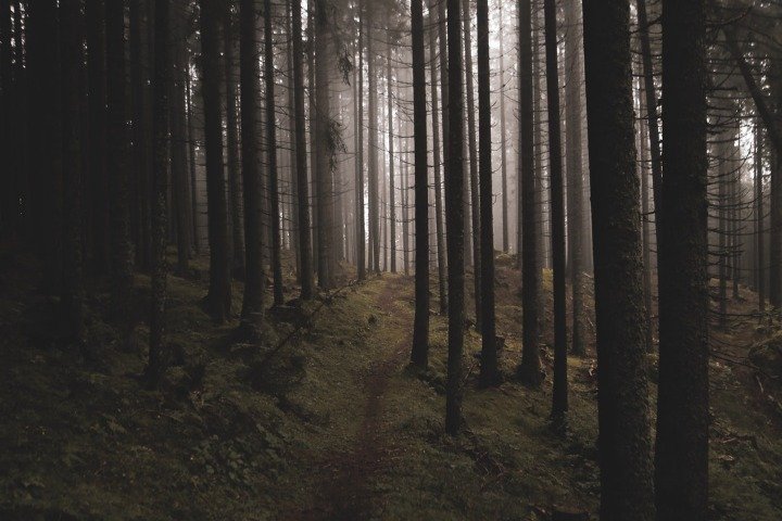 Fig 27 10 2018 03 45 05